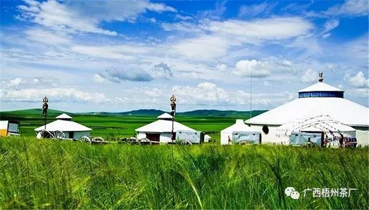 微信圖片_20190702082553_副本.jpg