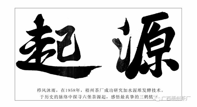 微信圖片_20191031174816_副本.jpg